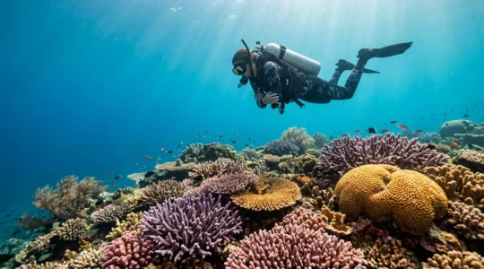 Plongeur en position de flottabilité parfaite au-dessus d'un récif corallien coloré sans le toucher